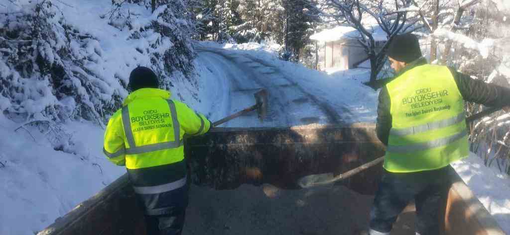 KARLA MÜCADELE ORDUSU GÖREV BAŞINDA